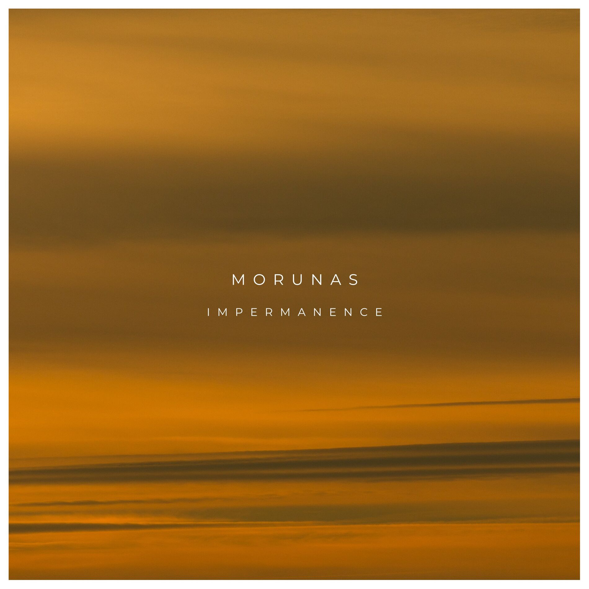 Album cover of Impermanence