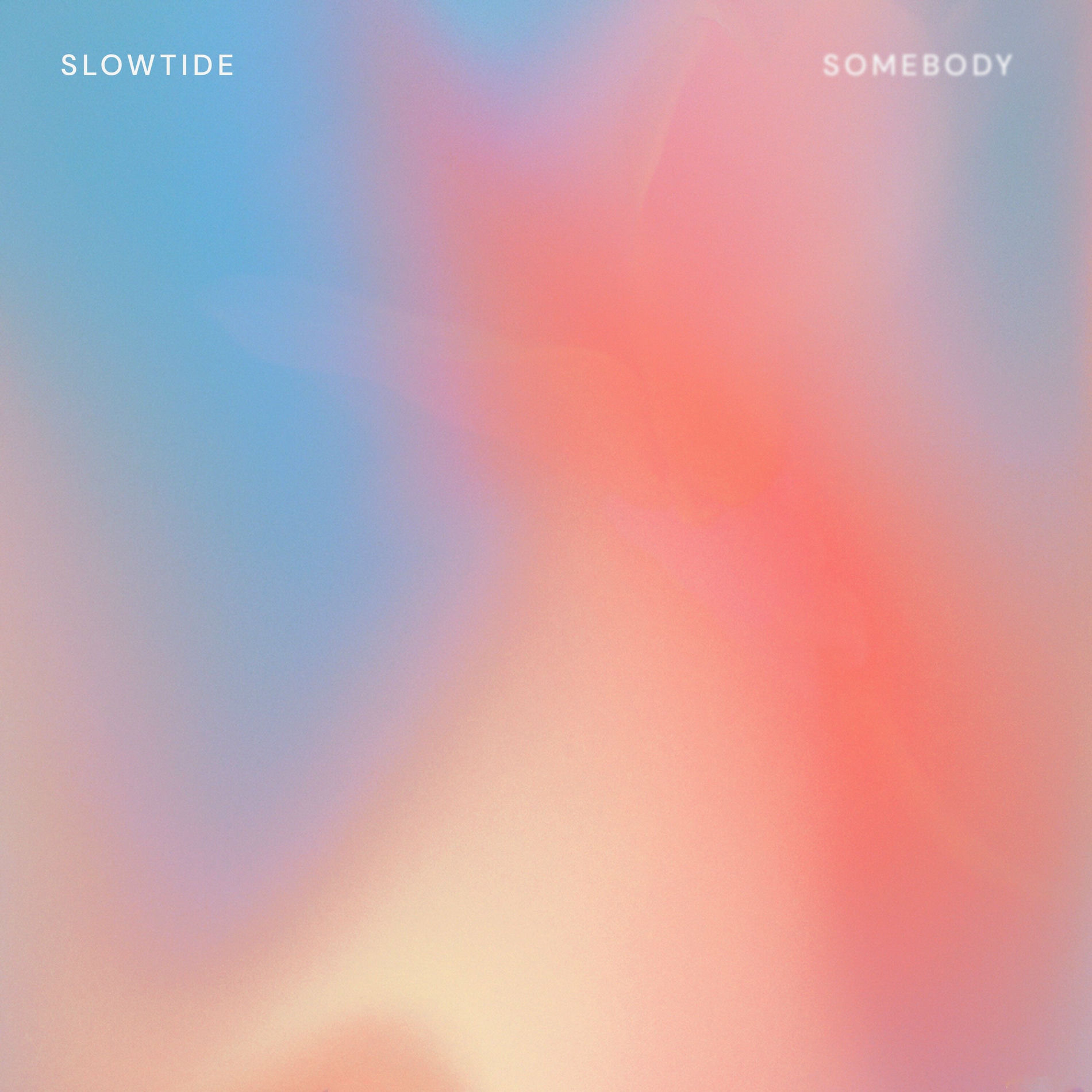 Album cover of Somebody