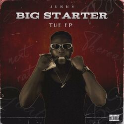 Cover of Big Starter