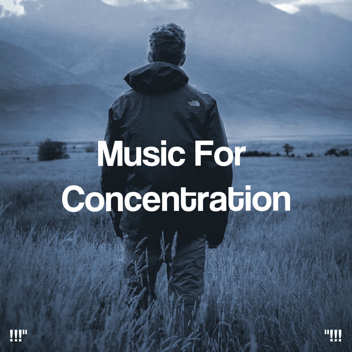 Album cover of Music For Concentration