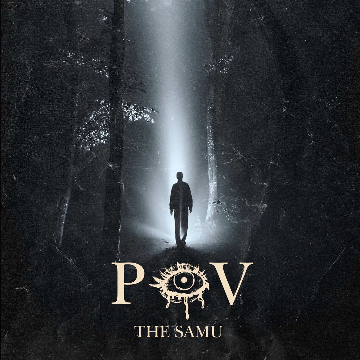 Album cover of POV