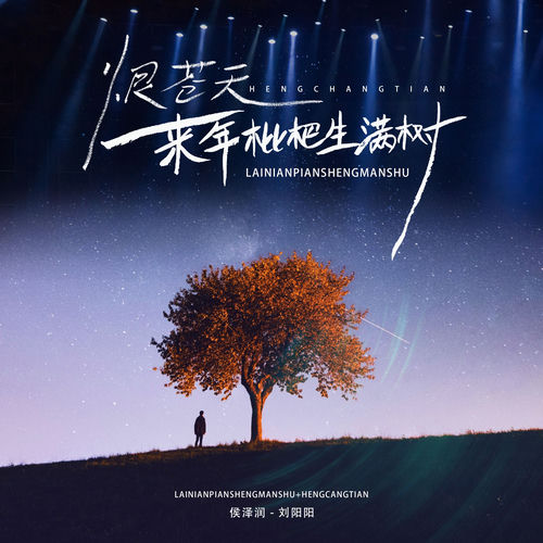 来年枇杷生满树 / 恨苍天 (Djlhn版)