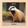 Bävling by Irma Schultz Keller album cover
