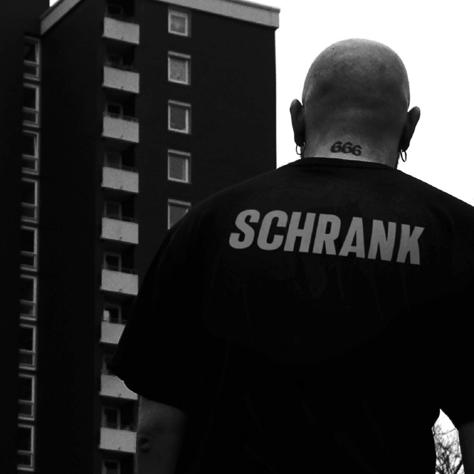 Album cover of SCHRANK REMIXES