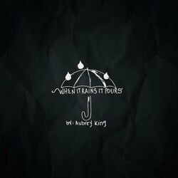 Cover of When It Rains It Pours