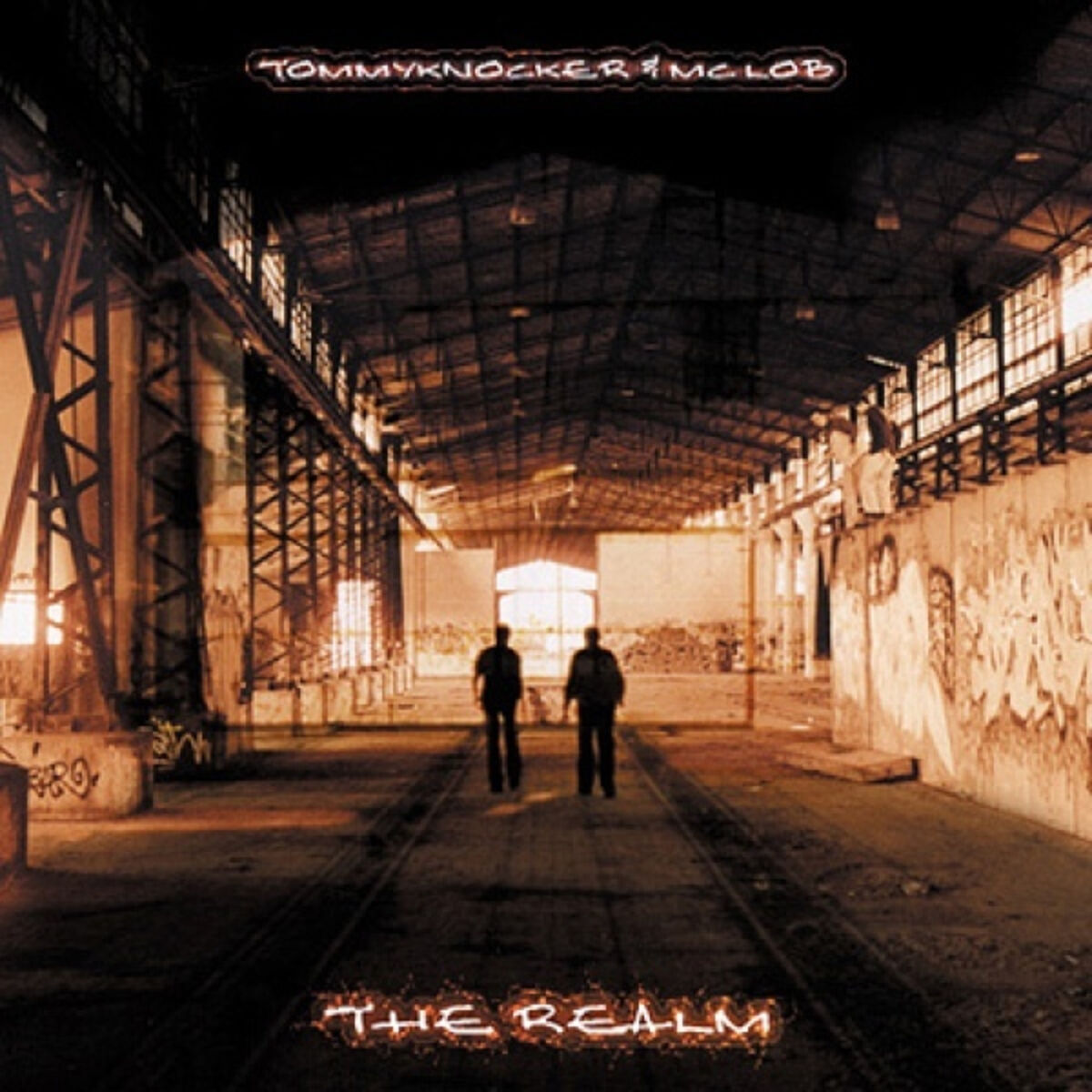 Album cover of The realm
