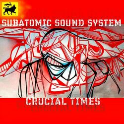 Cover of Crucial Times