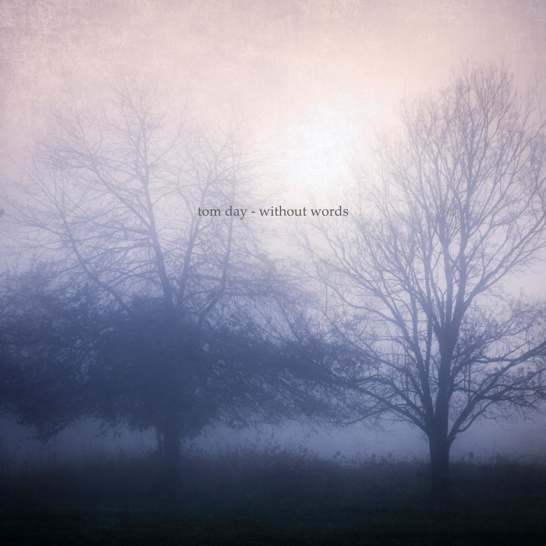 Album cover of Without Words