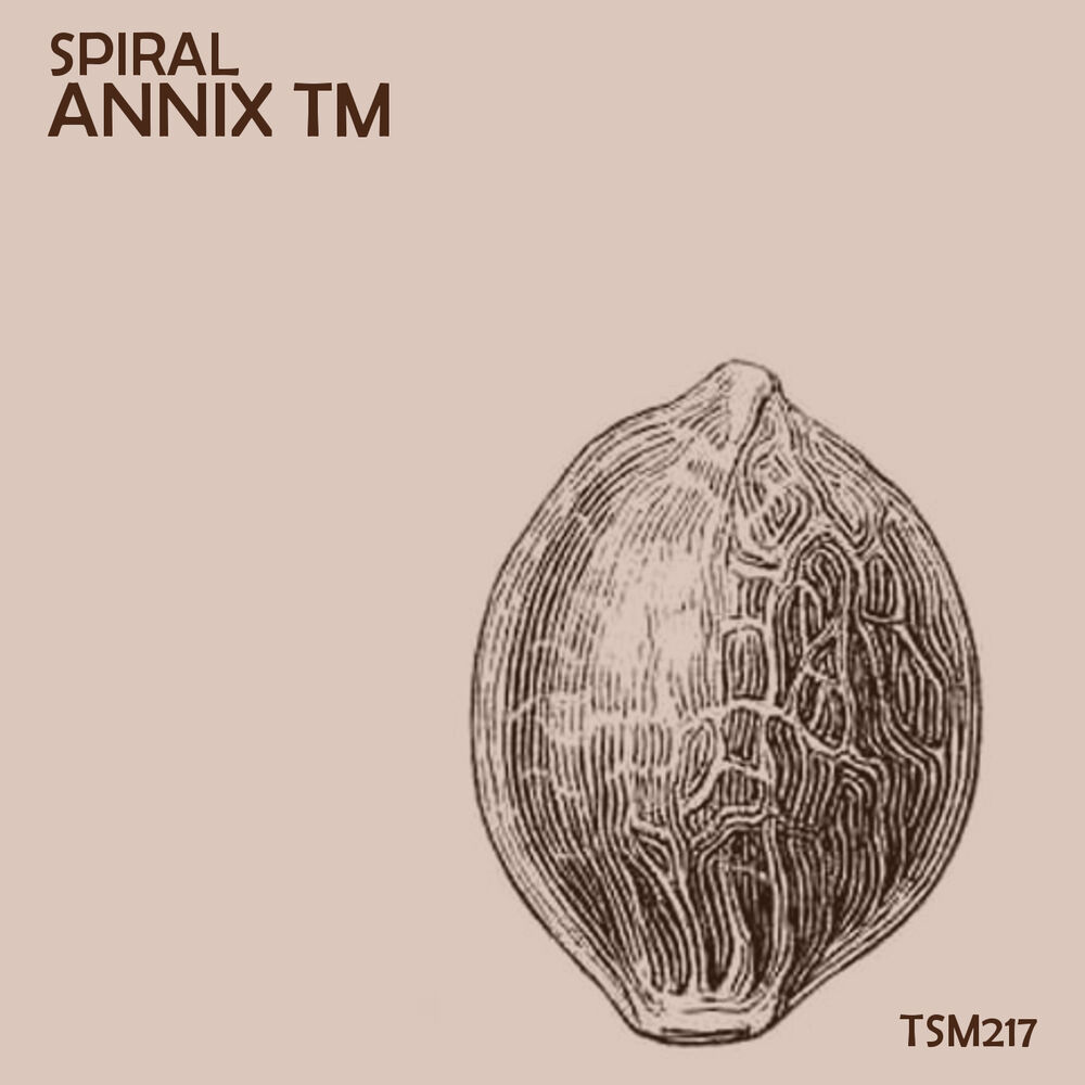 Picture of Spiral