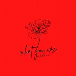 Cover of what you are