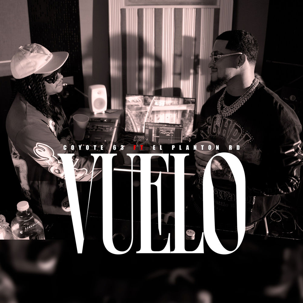 Vuelo