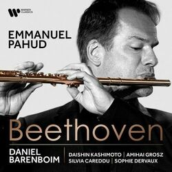Cover of Beethoven: Works for Flute