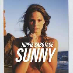 Cover of Sunny