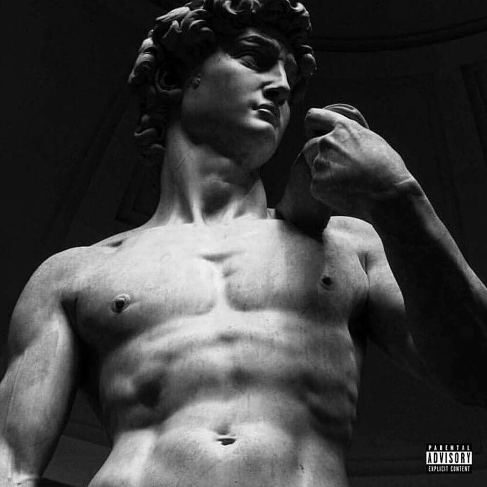 Picture of David 2: Michelangelo
