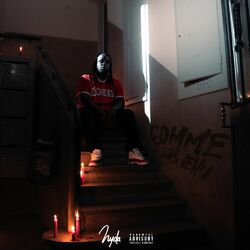 Cover of Comme je suis venu