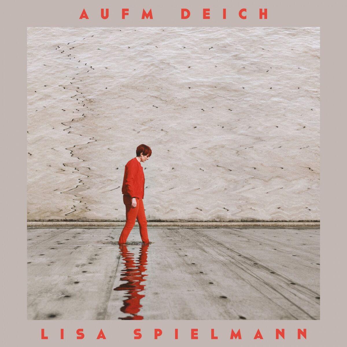 Album cover of Aufm Deich
