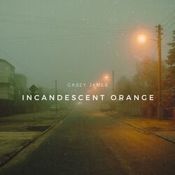Cover of Orange