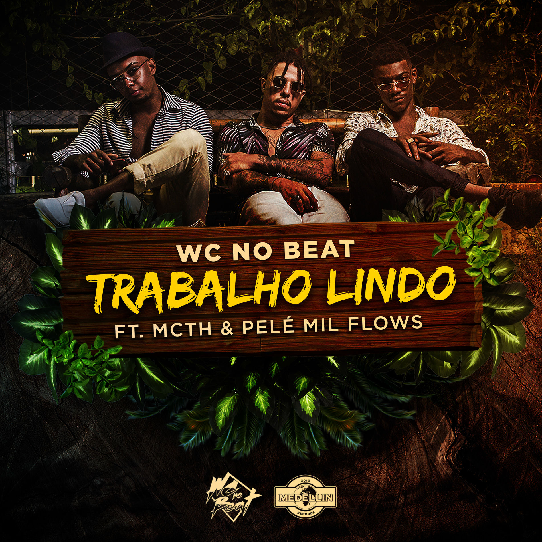 Album cover of Trabalho Lindo