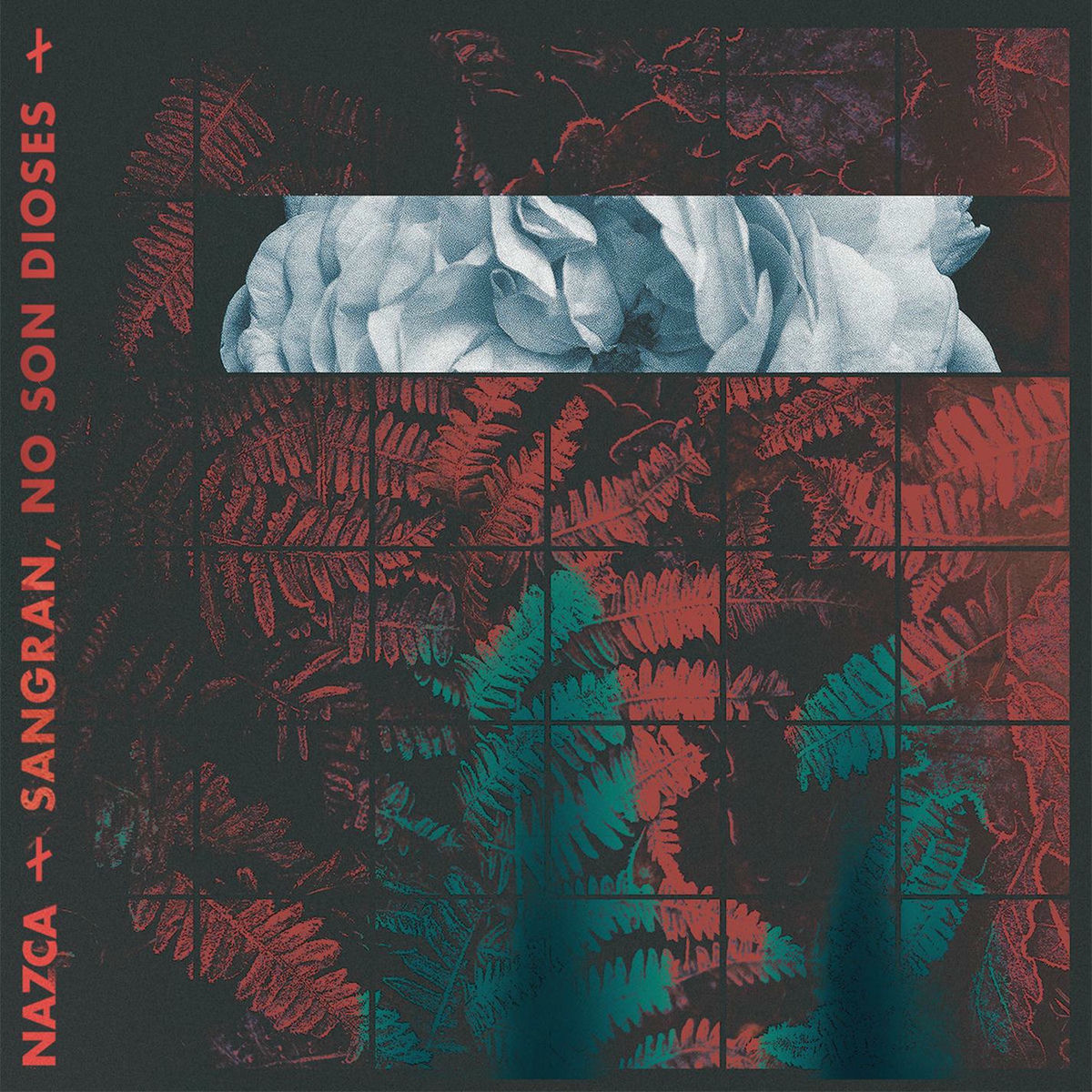 Album cover of Sangran, no son dioses