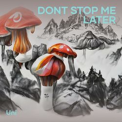 Cover of Dont Stop Me Later