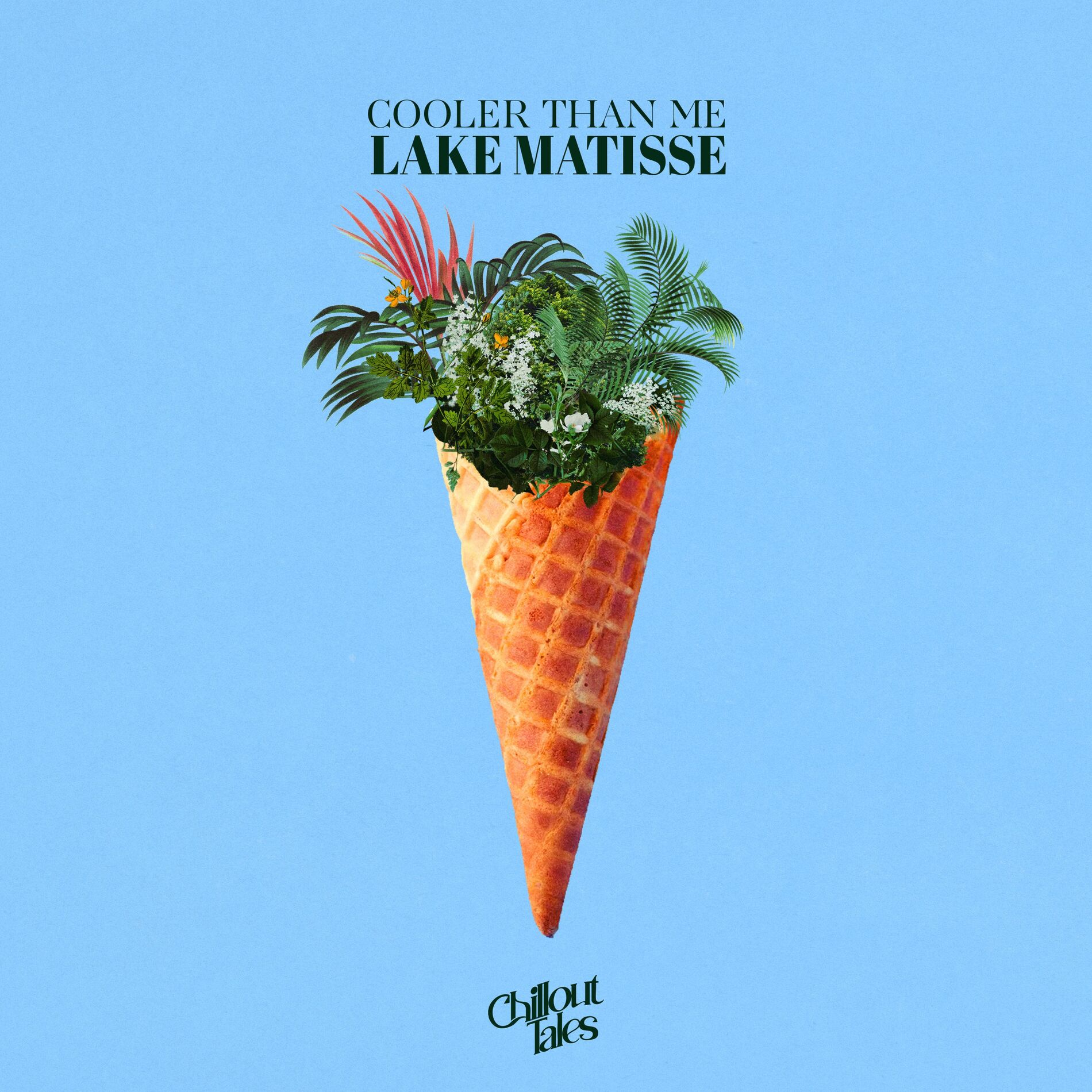 Album cover of Cooler Than Me
