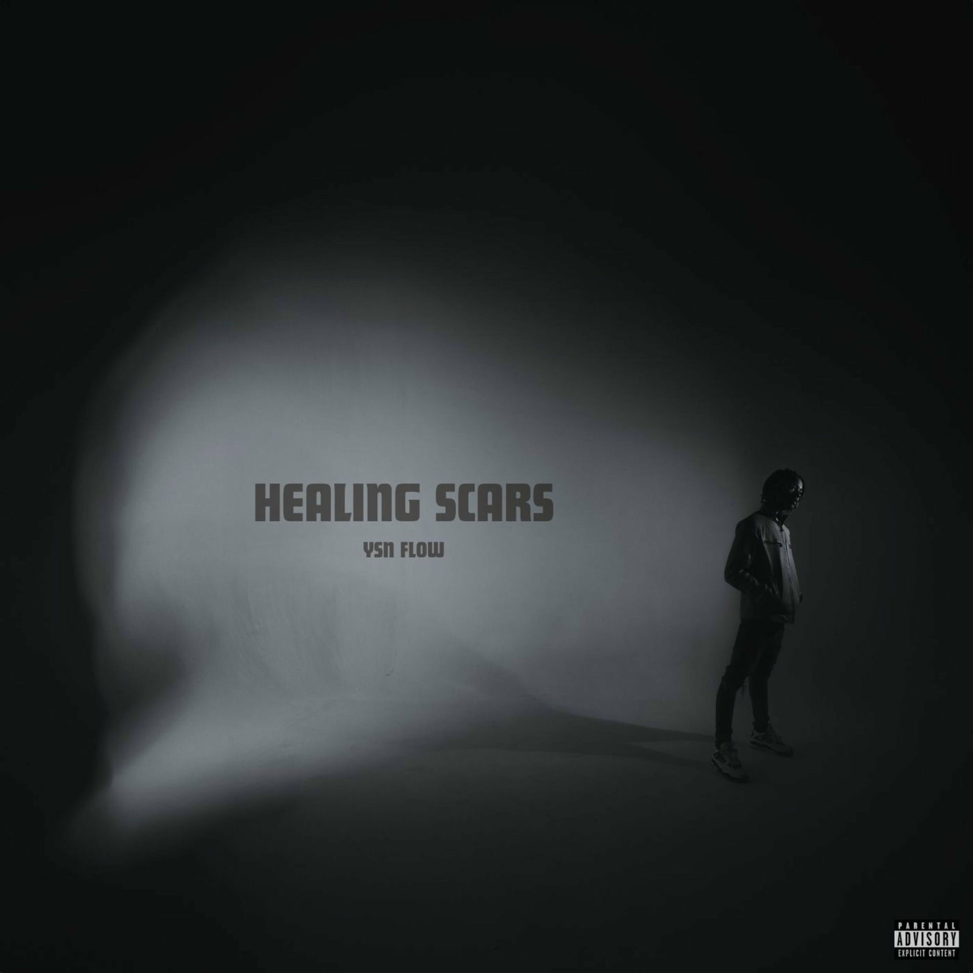 Album cover of HEALING SCARS
