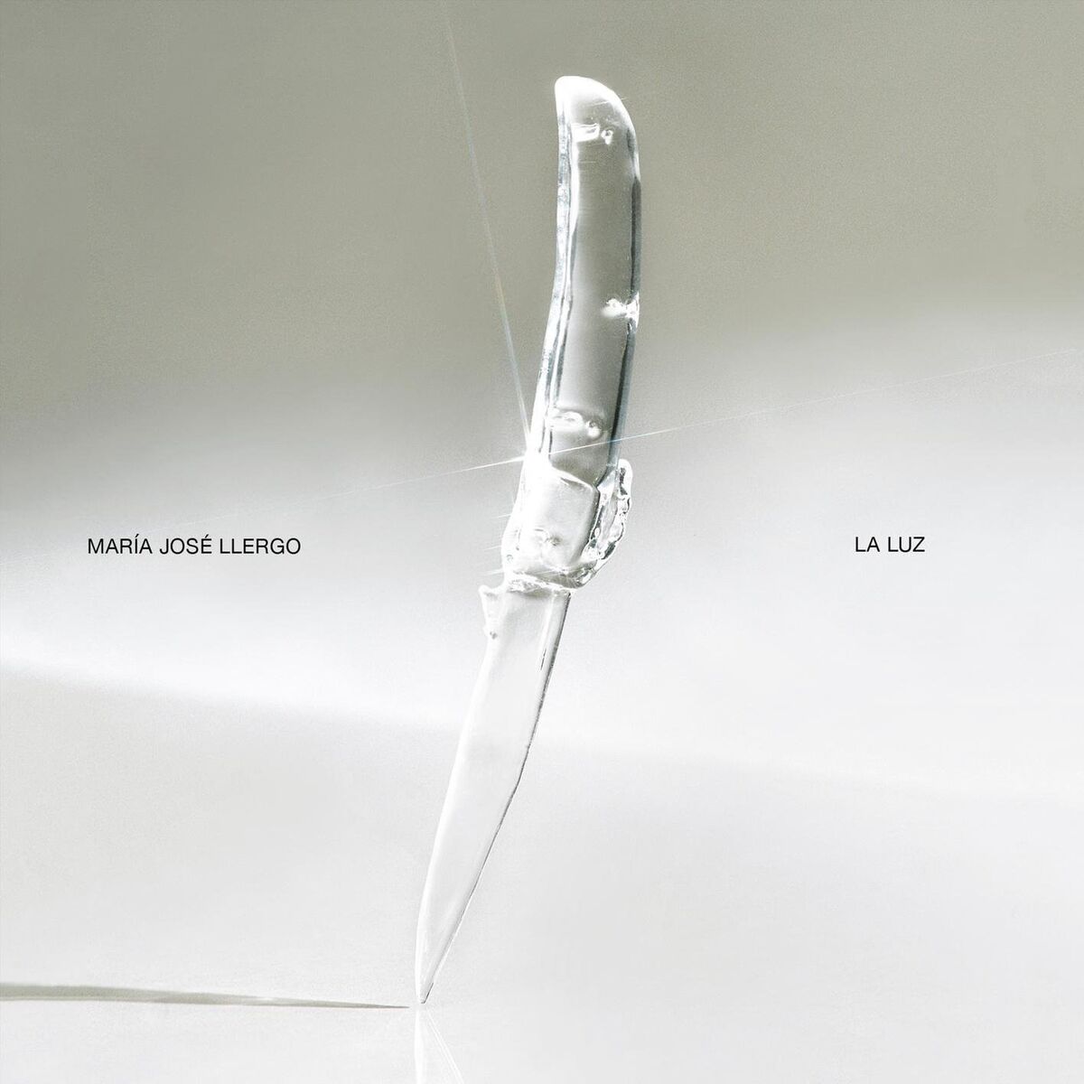 Album cover of La Luz