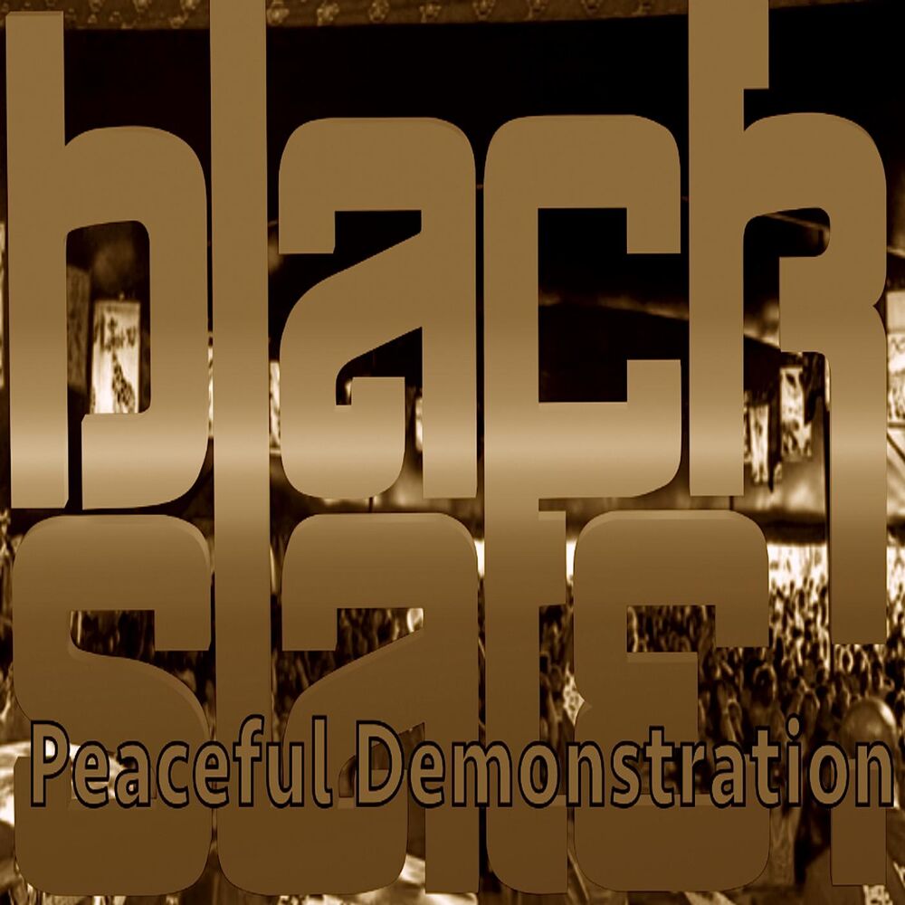 Picture of Peaceful Demonstration