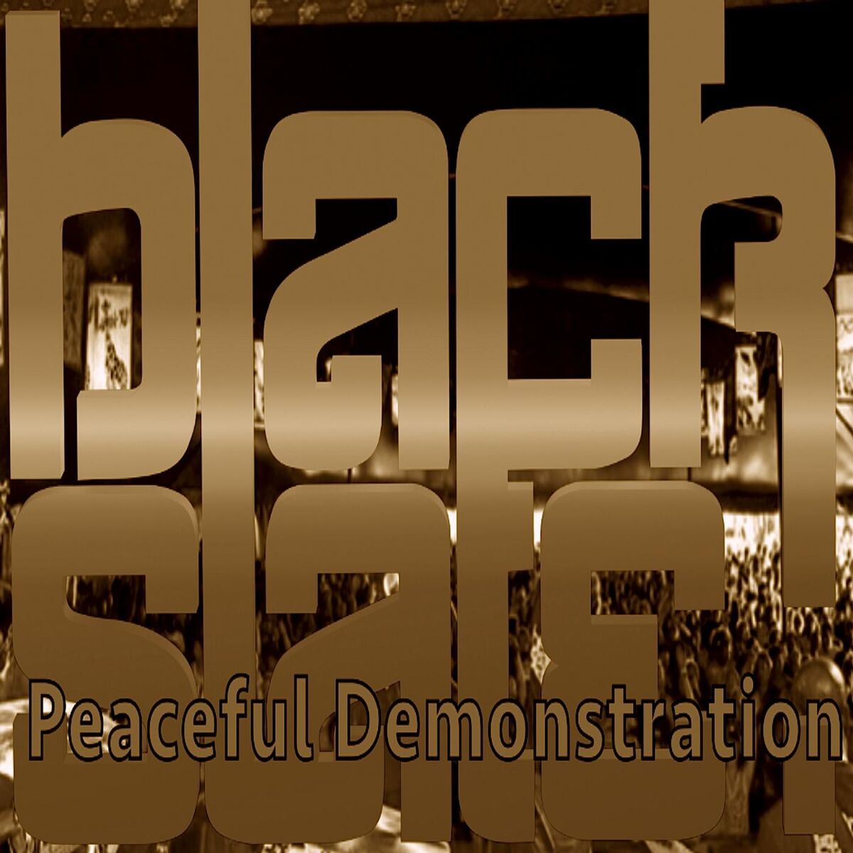 Album cover of Peaceful Demonstration