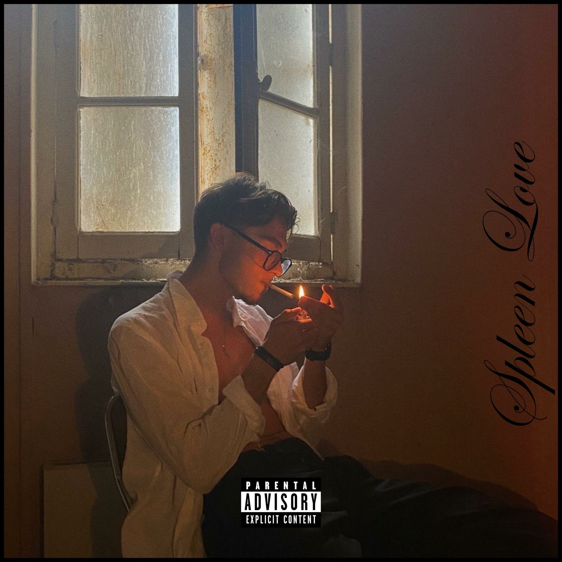 Album cover of Spleen Love