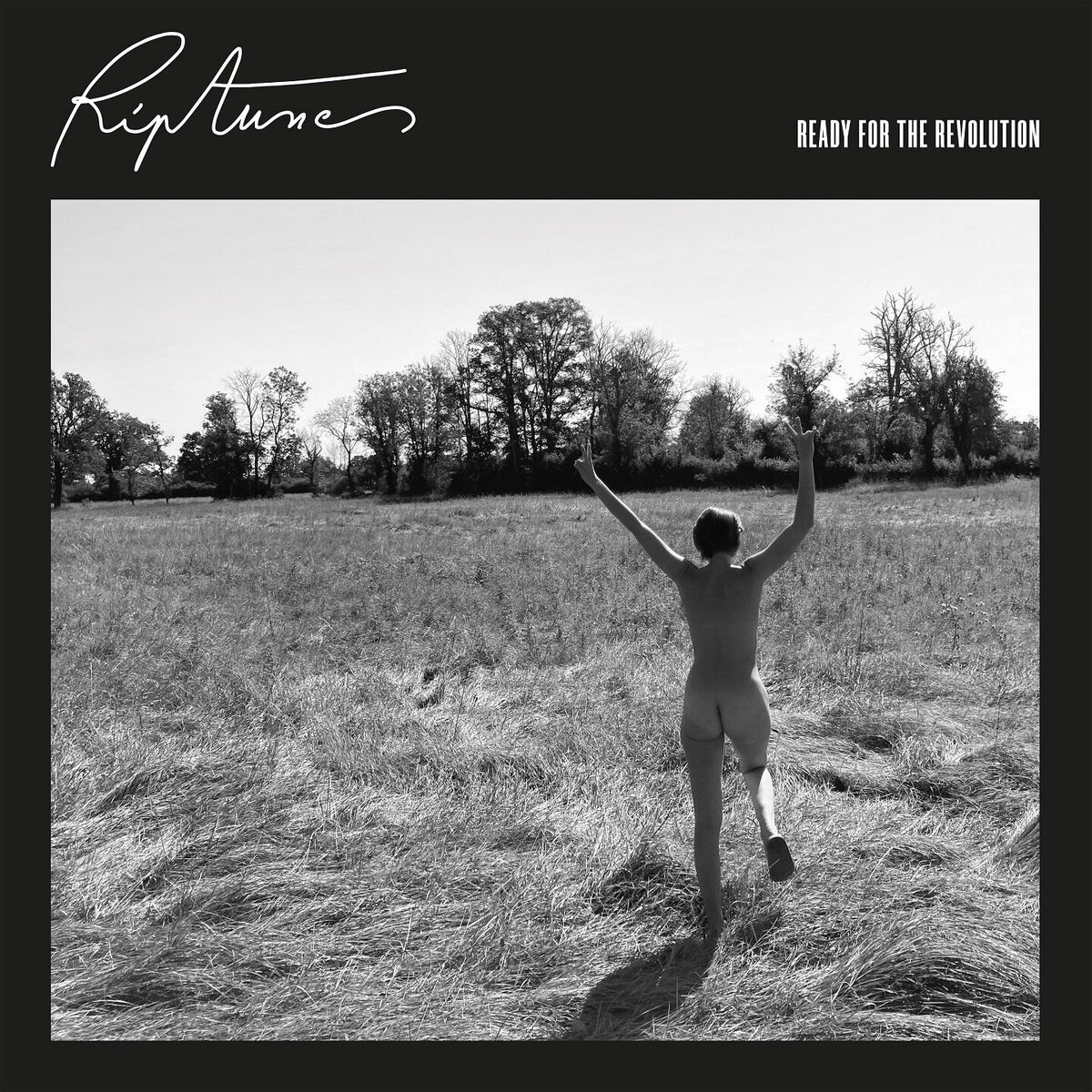 Album cover of Ready For The Revolution