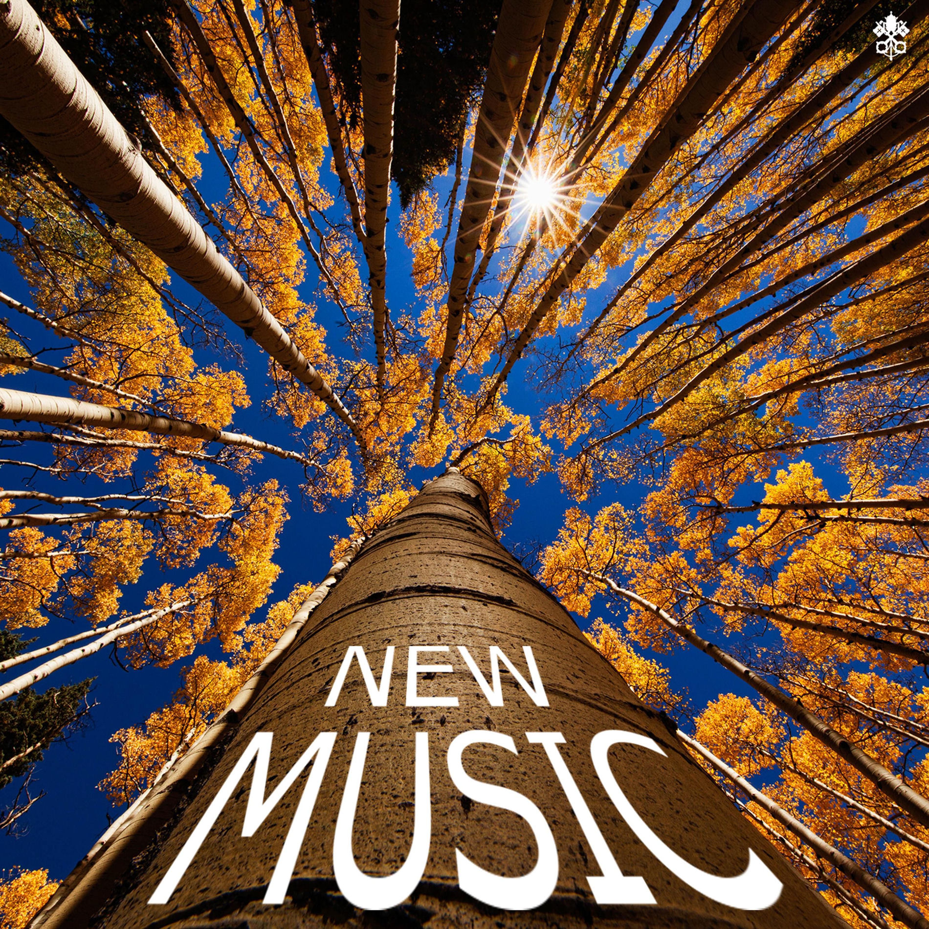 Album cover of New Music