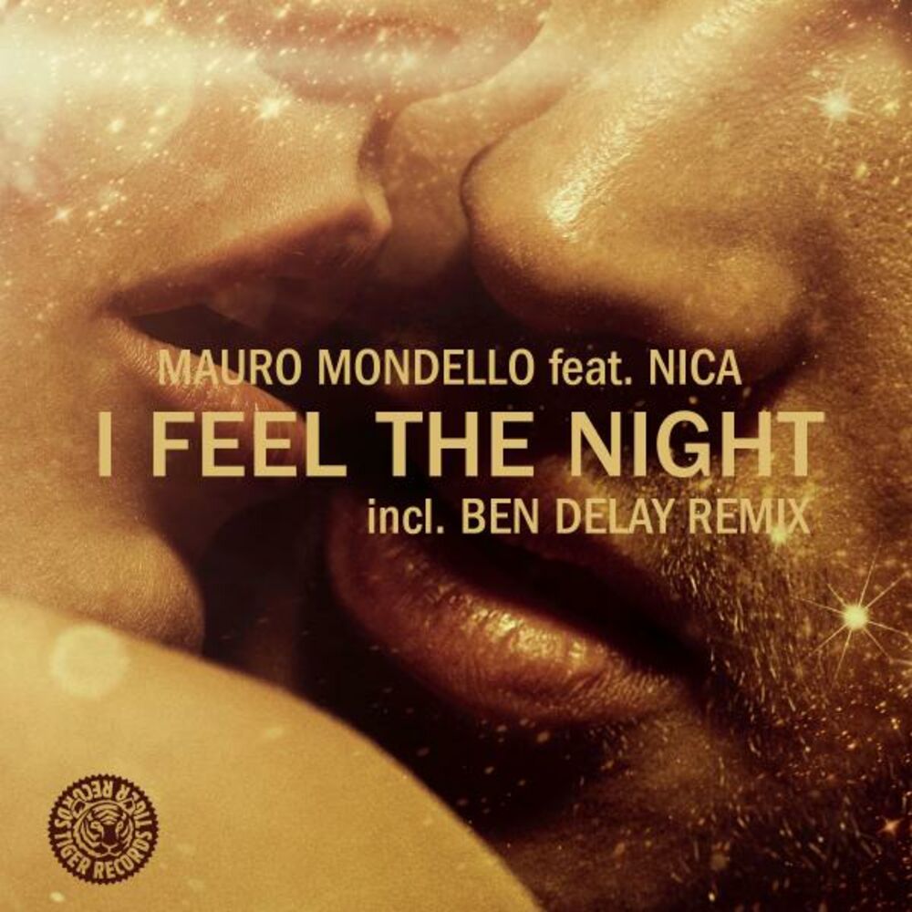 Picture of I Feel the Night