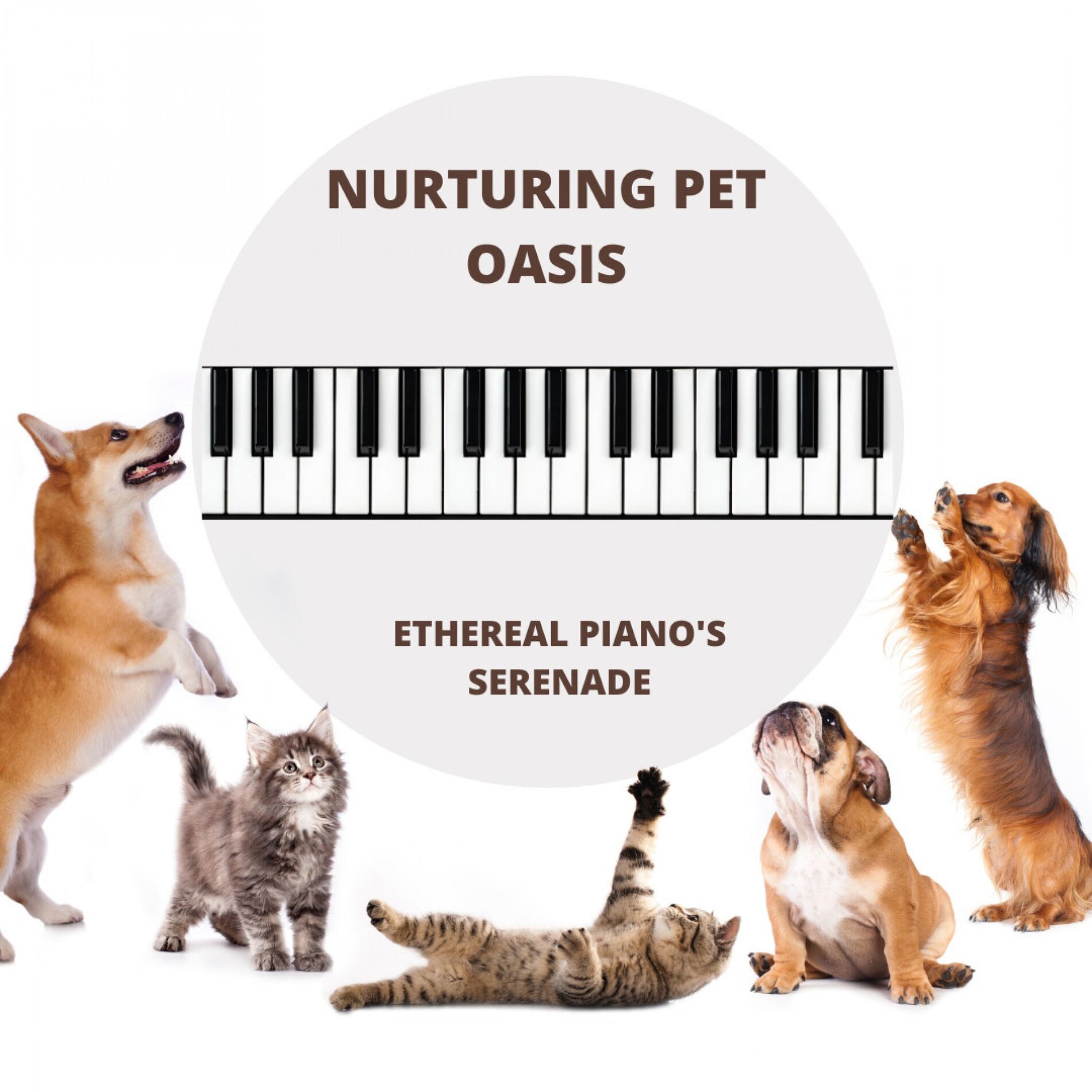 Album cover of Nurturing Pet Oasis: Ethereal Piano's Serenade