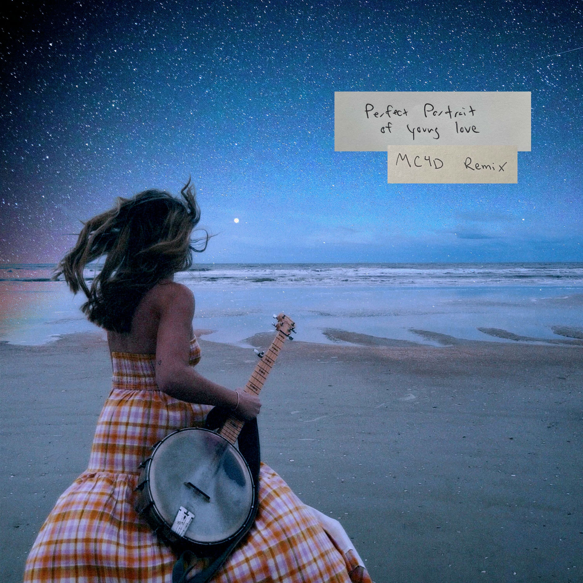 Album cover of Perfect Portrait Of Young Love (MC4D Remix)