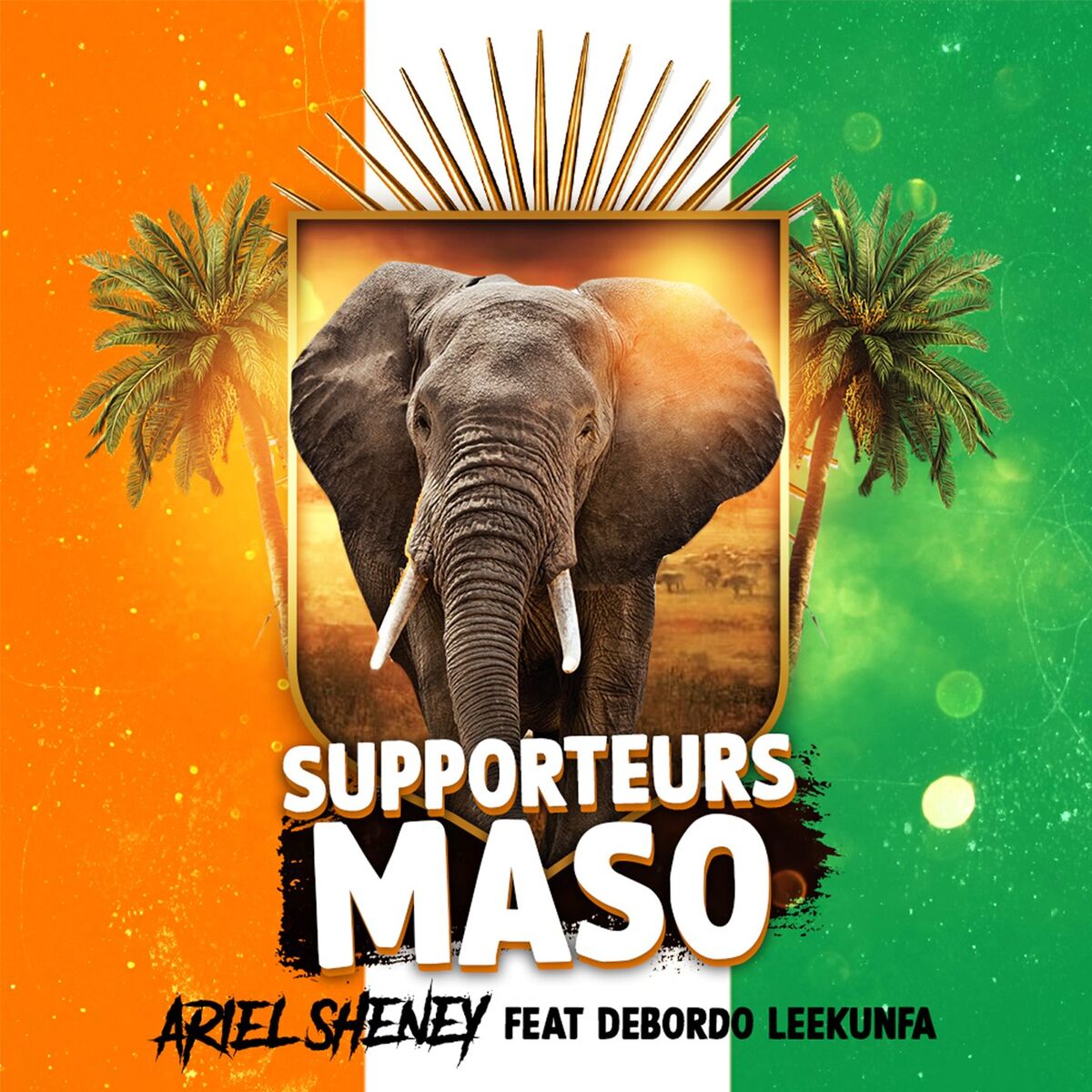 Album cover of Supporteurs Maso
