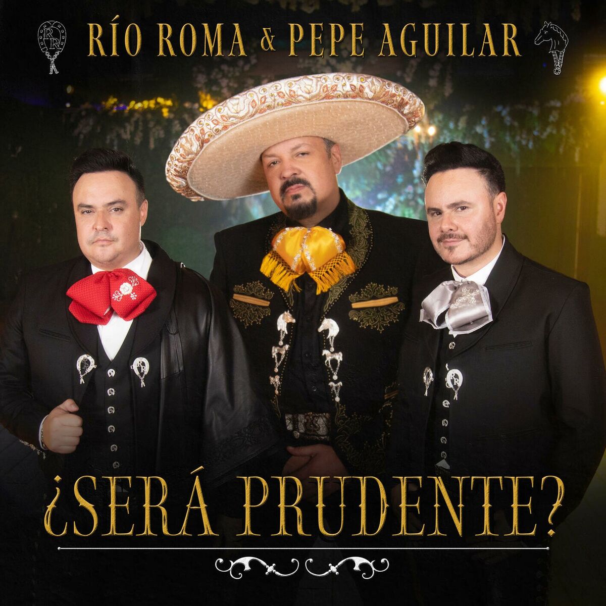Album cover of ¿Será Prudente?