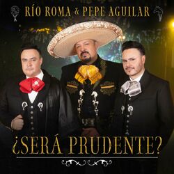 Cover of ¿Será Prudente?