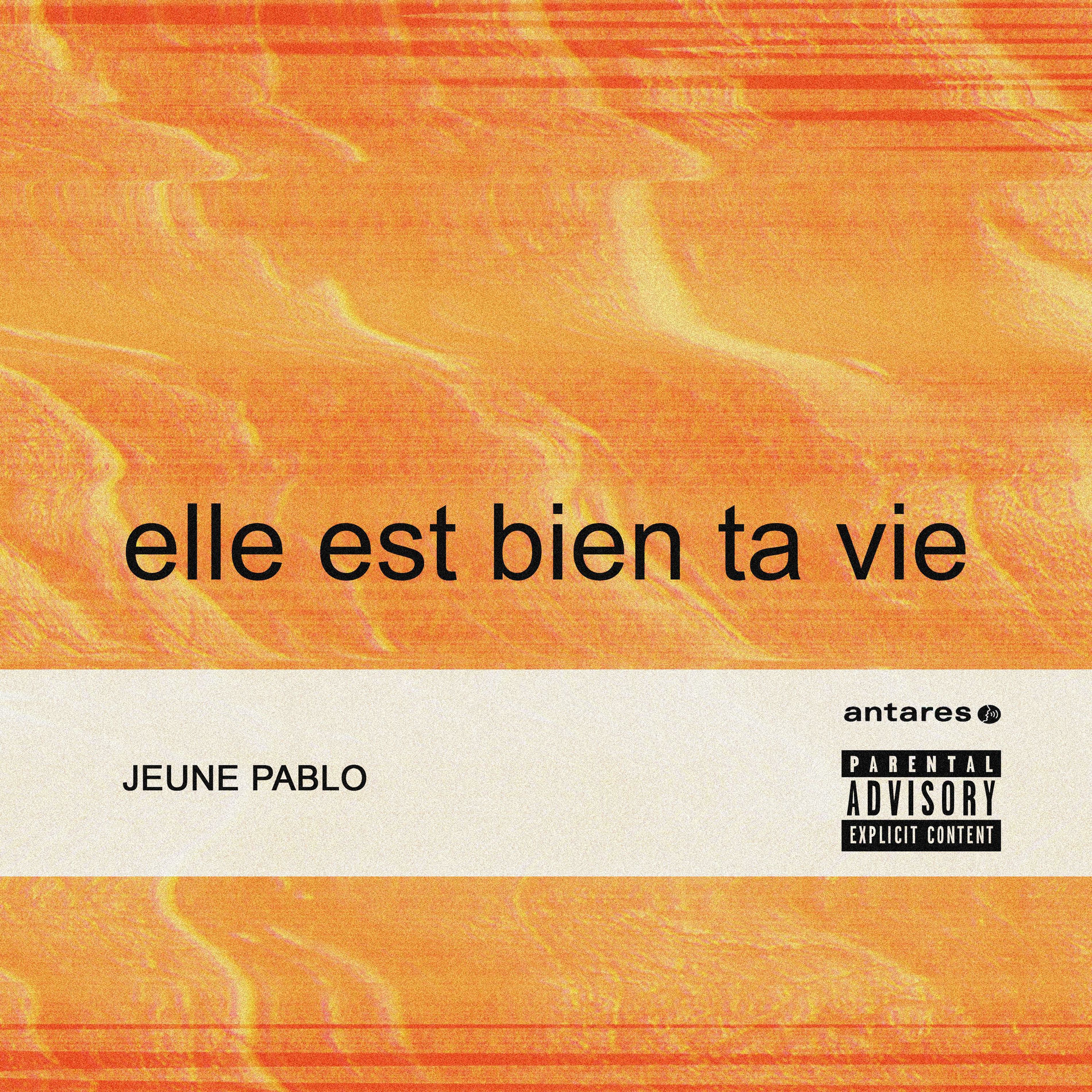 Album cover of Elle Est Bien Ta Vie