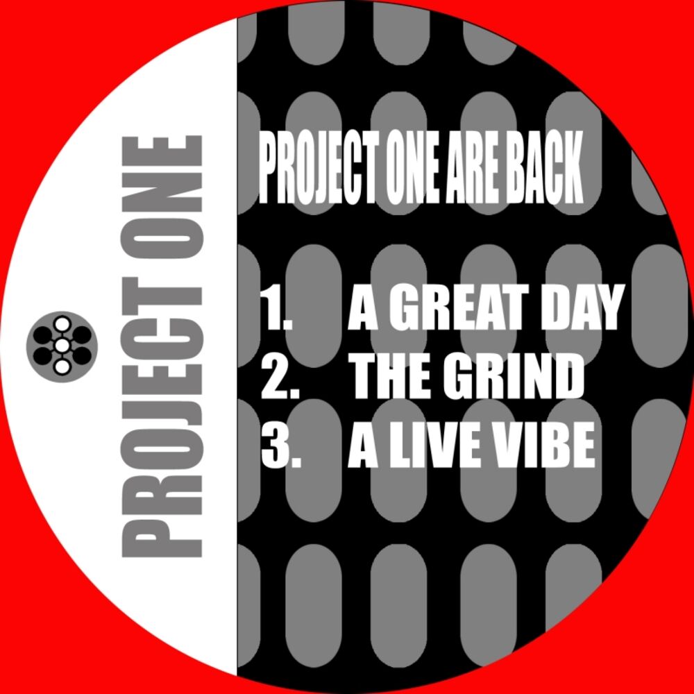Picture of Project One Are Back
