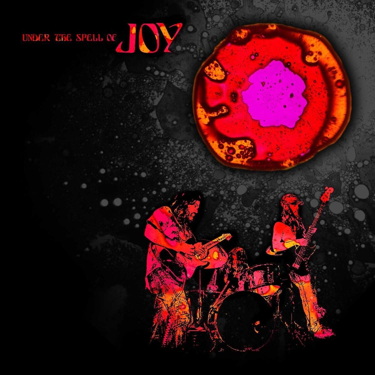 Album cover of Under the Spell of Joy