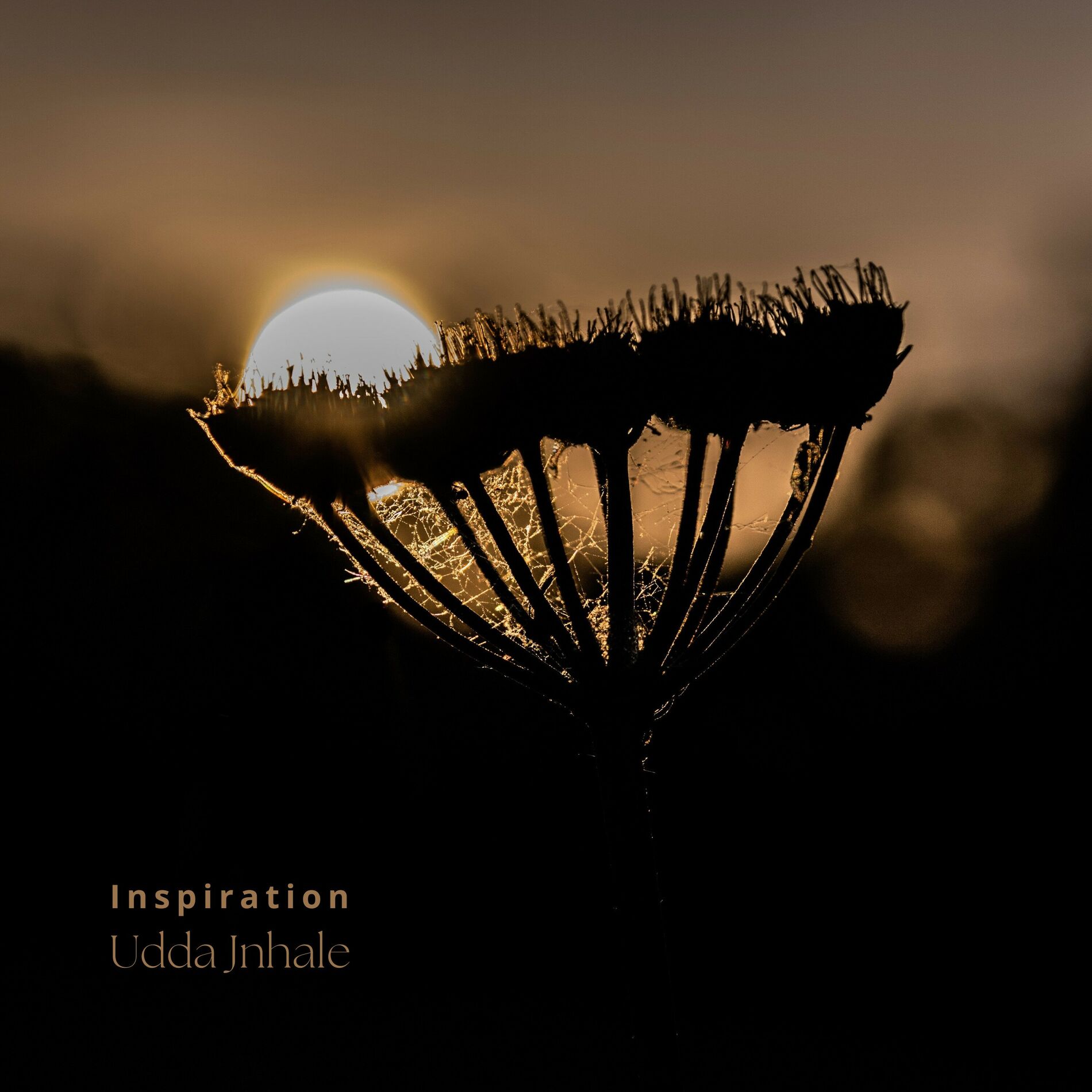 Album cover of Inspiration