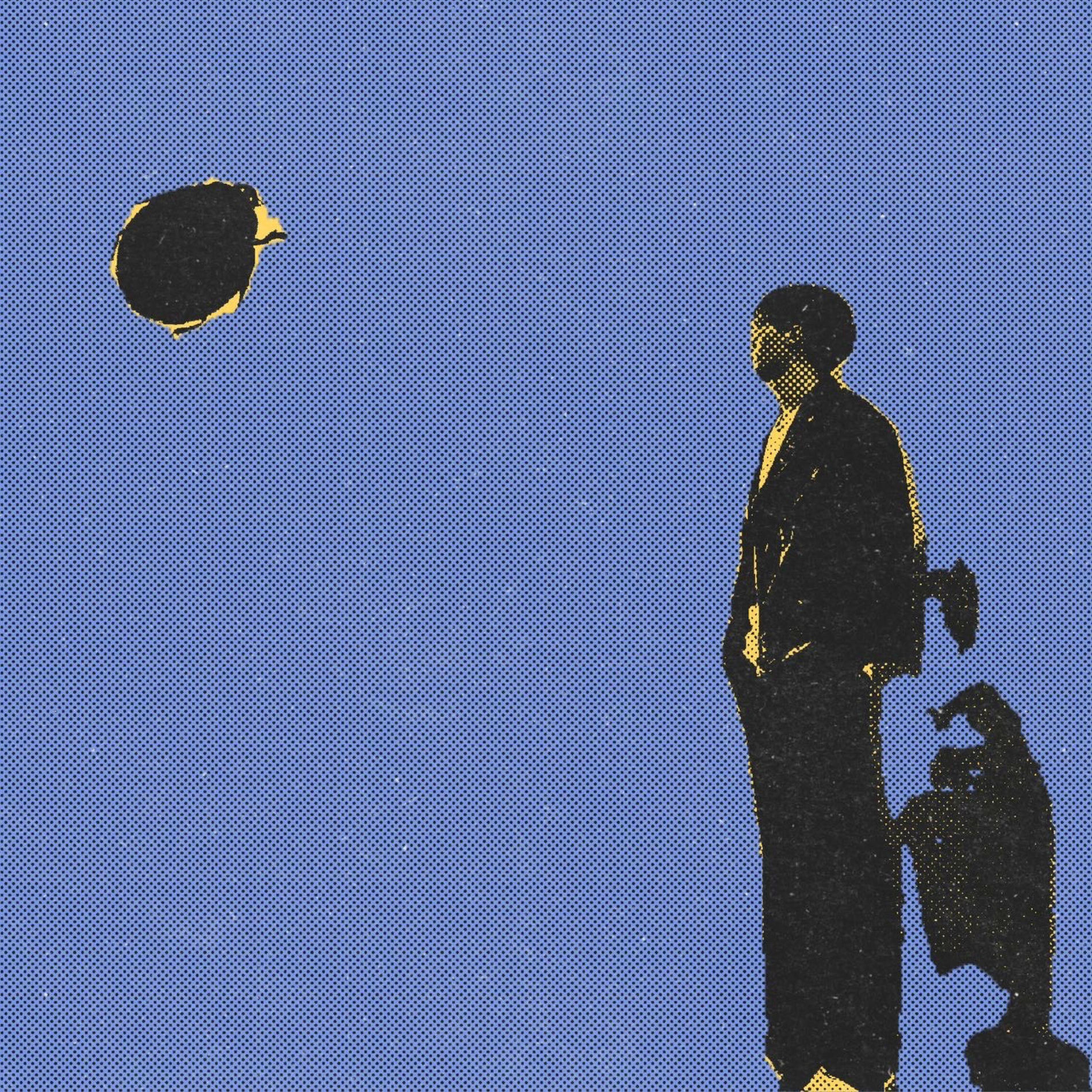 Album cover of Ladybug