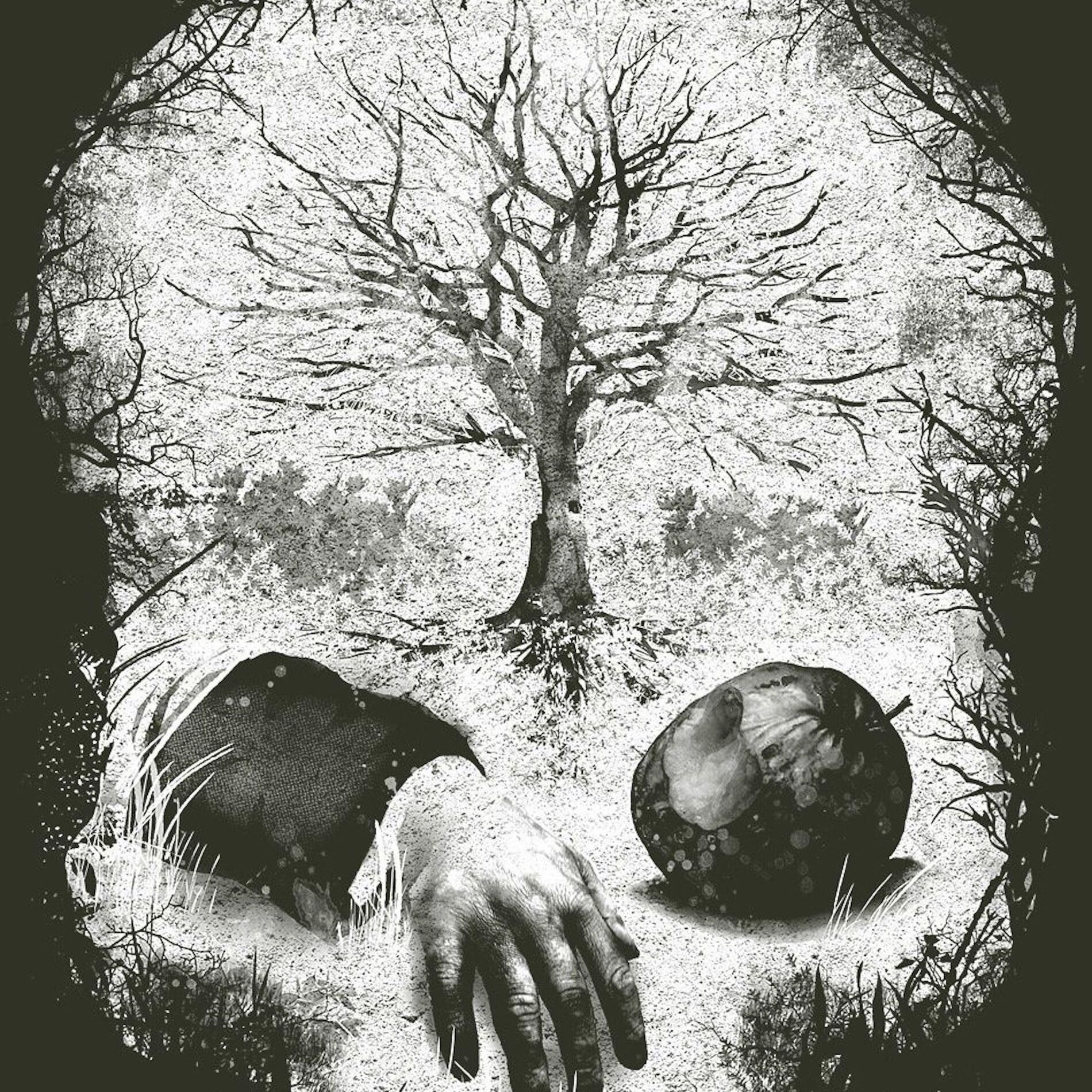 Album cover of poison tree