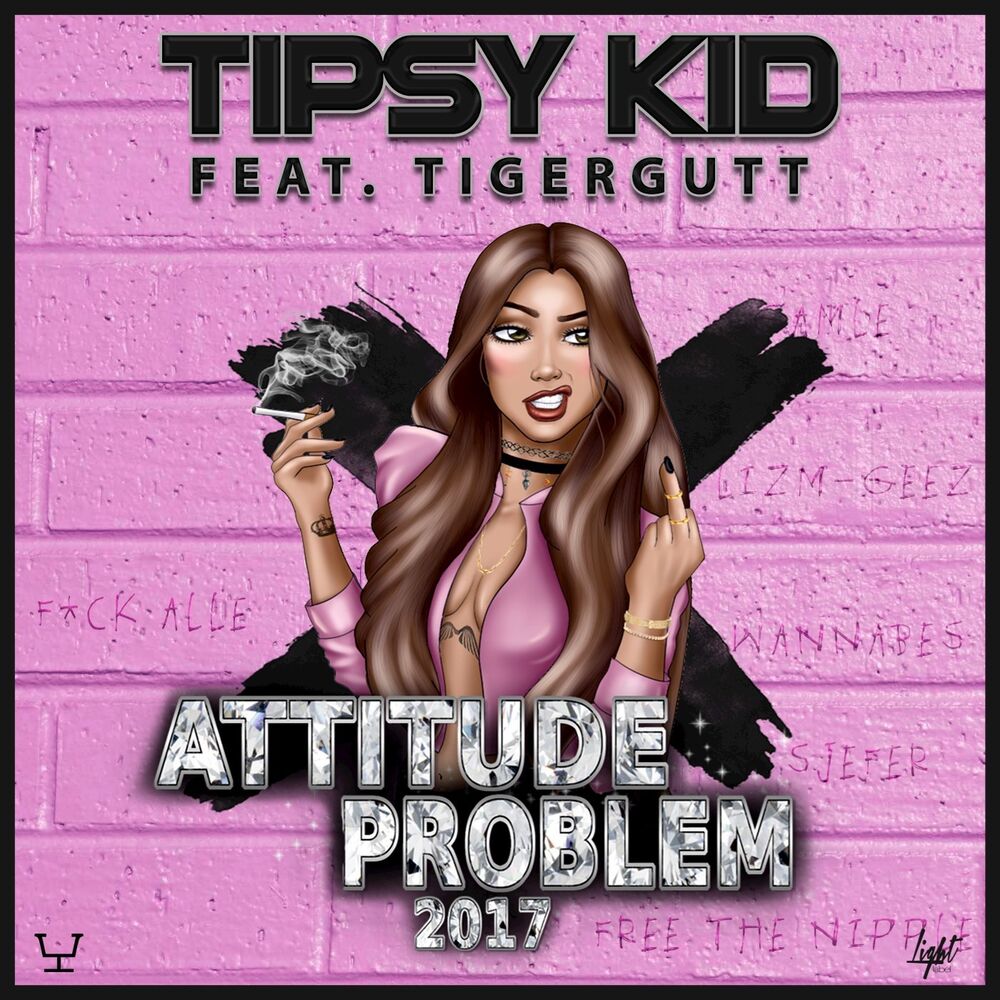 Picture of Attitudeproblem 2017