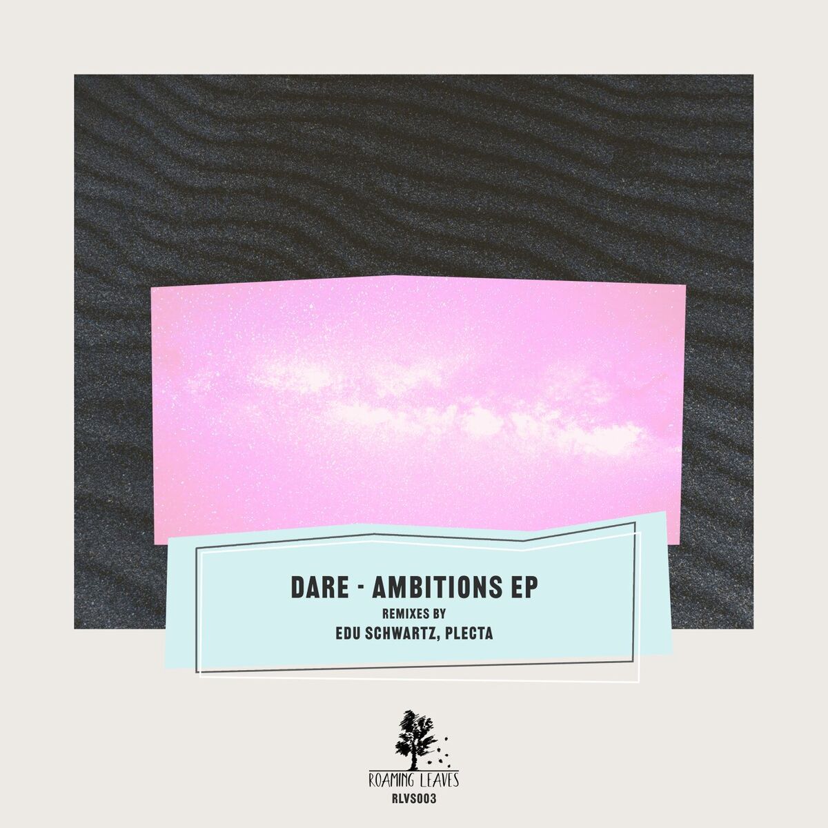Album cover of Ambitions