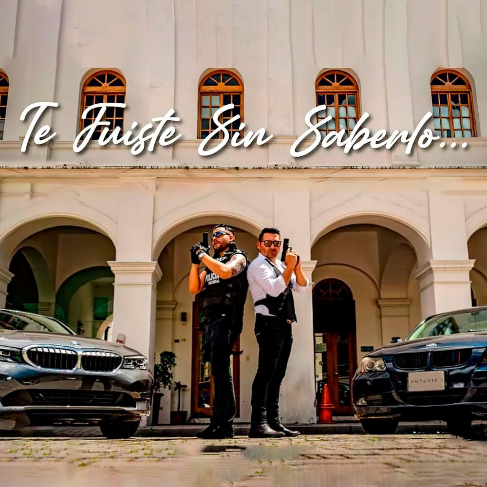 Picture of Te Fuiste Sin Saberlo...