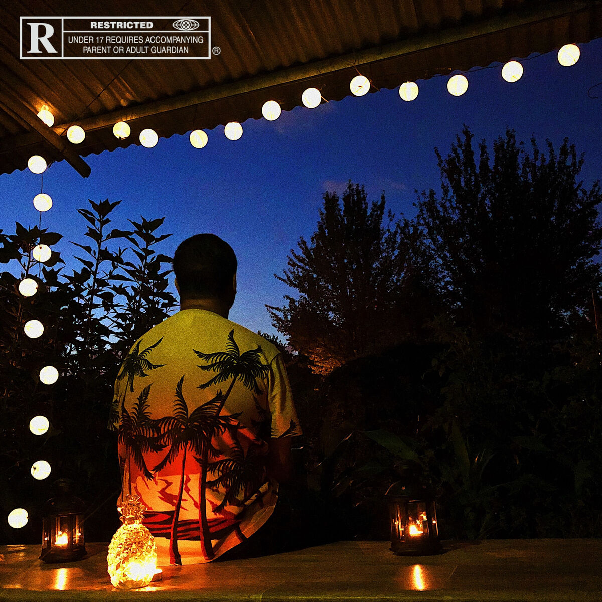 Album cover of Nuit d'été