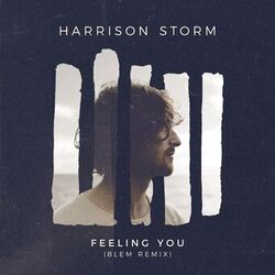 Cover of Feeling You (BLEM Remix)