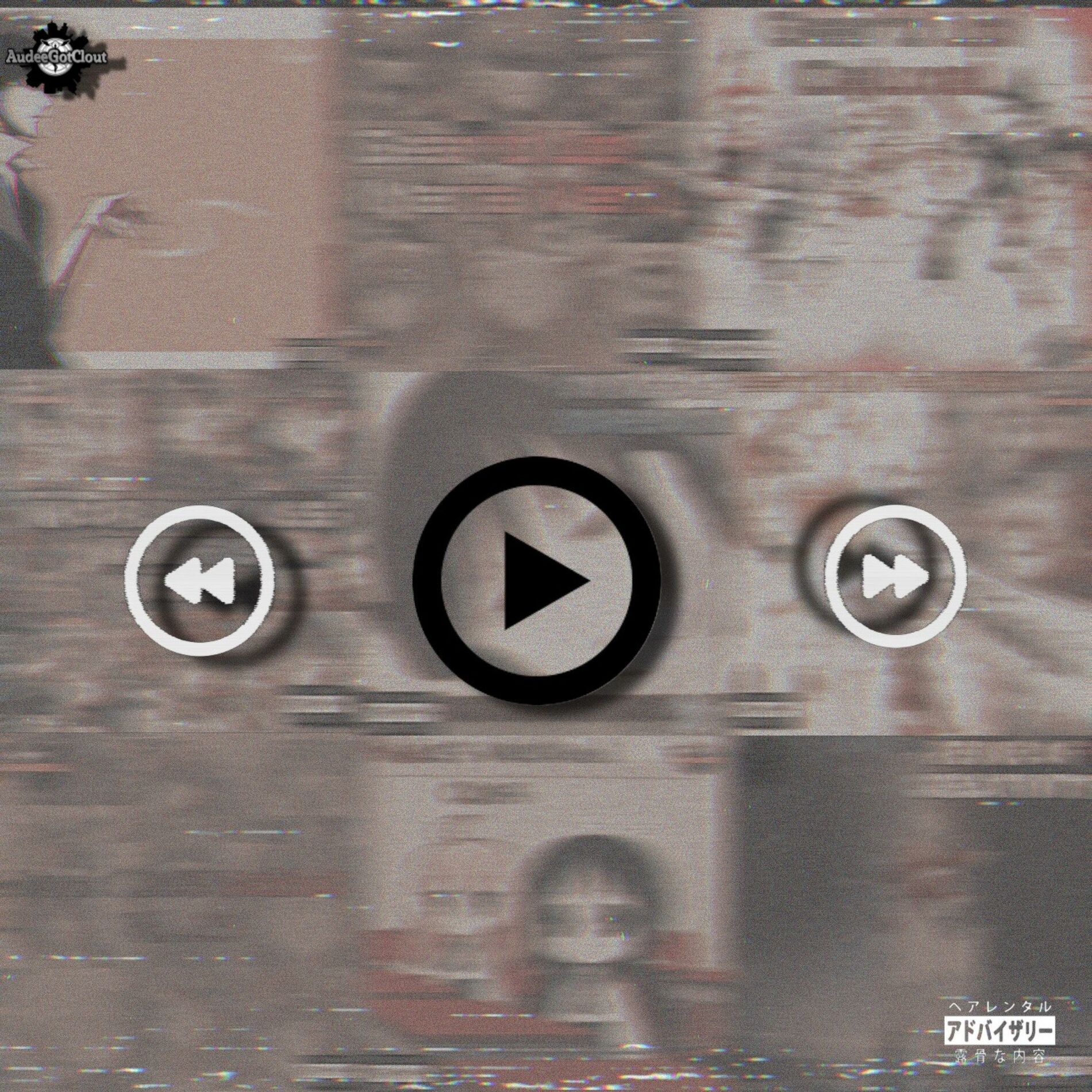 Album cover of The Audee Experience
